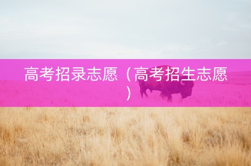 高考招录志愿（高考招生志愿）
