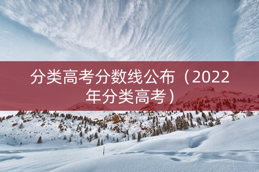分类高考分数线公布（2022年分类高考）
