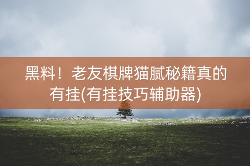 黑料！老友棋牌猫腻秘籍真的有挂(有挂技巧辅助器)