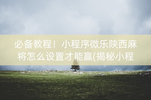 必备教程！小程序微乐陕西麻将怎么设置才能赢(揭秘小程序插件购买)