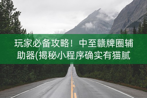 玩家必备攻略！中至赣牌圈辅助器(揭秘小程序确实有猫腻)