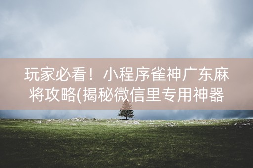 玩家必看！小程序雀神广东麻将攻略(揭秘微信里专用神器下载)