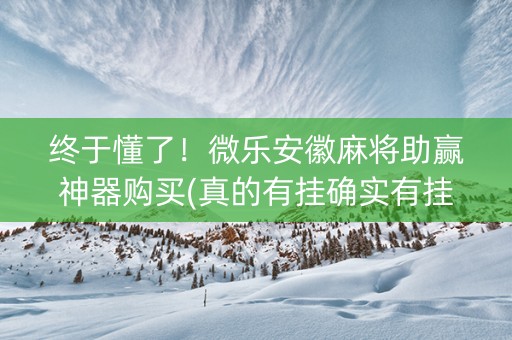 终于懂了！微乐安徽麻将助赢神器购买(真的有挂确实有挂)