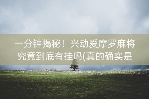 一分钟揭秘！兴动爱摩罗麻将究竟到底有挂吗(真的确实是有挂)