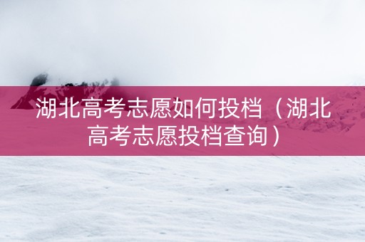 湖北高考志愿如何投档（湖北高考志愿投档查询）