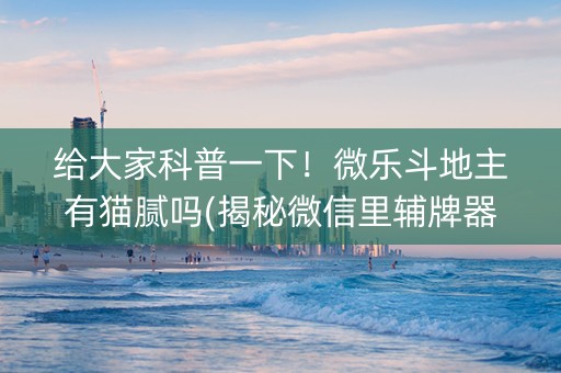 给大家科普一下！微乐斗地主有猫腻吗(揭秘微信里辅牌器)