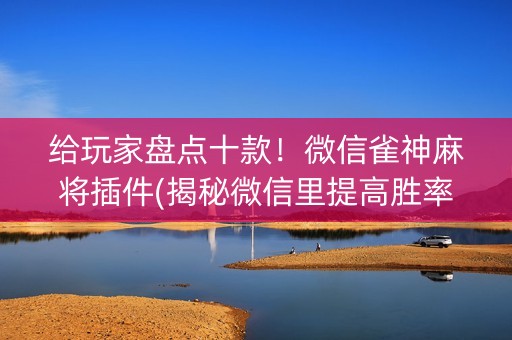 给玩家盘点十款！微信雀神麻将插件(揭秘微信里提高胜率)