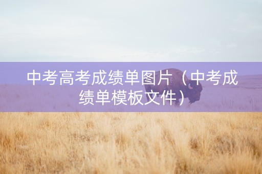 中考高考成绩单图片（中考成绩单模板文件）
