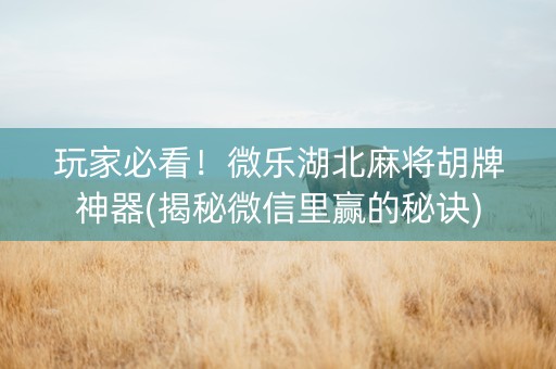 玩家必看！微乐湖北麻将胡牌神器(揭秘微信里赢的秘诀)