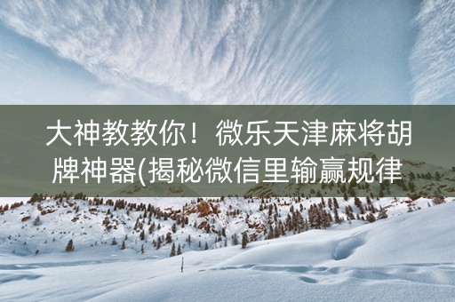 大神教教你！微乐天津麻将胡牌神器(揭秘微信里输赢规律)