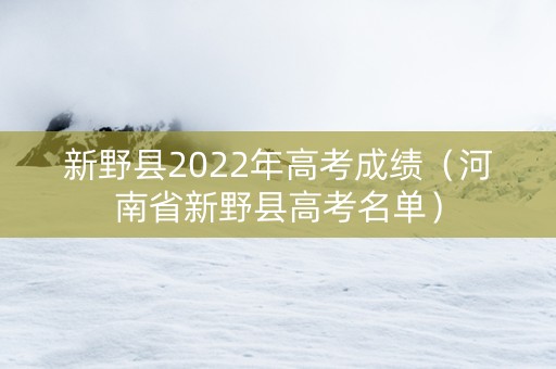 新野县2022年高考成绩（河南省新野县高考名单）