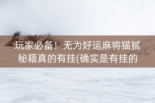 玩家必备！无为好运麻将猫腻秘籍真的有挂(确实是有挂的)