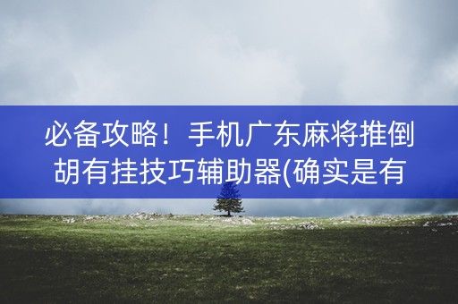 必备攻略！手机广东麻将推倒胡有挂技巧辅助器(确实是有挂)