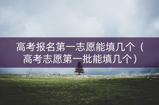 高考报名第一志愿能填几个（高考志愿第一批能填几个）