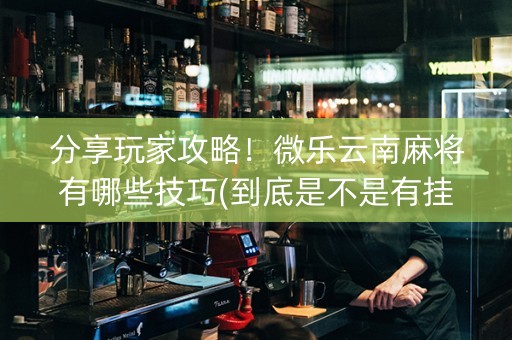 分享玩家攻略！微乐云南麻将有哪些技巧(到底是不是有挂)