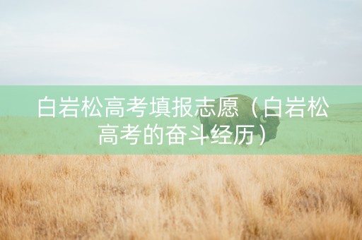 白岩松高考填报志愿（白岩松高考的奋斗经历）