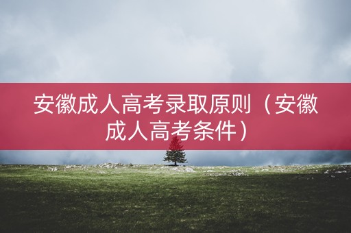 安徽成人高考录取原则（安徽成人高考条件）