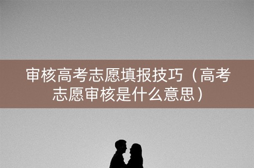 审核高考志愿填报技巧（高考志愿审核是什么意思）