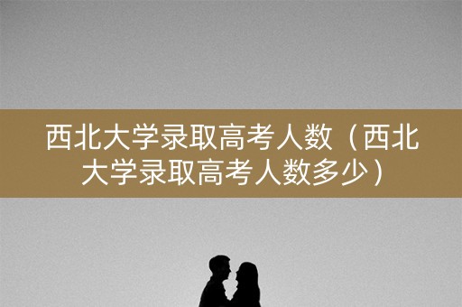 西北大学录取高考人数（西北大学录取高考人数多少）