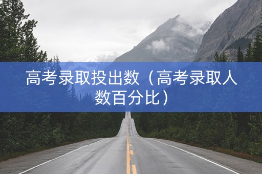 高考录取投出数（高考录取人数百分比）