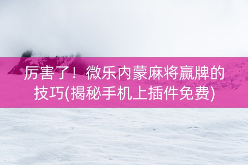 厉害了！微乐内蒙麻将赢牌的技巧(揭秘手机上插件免费)