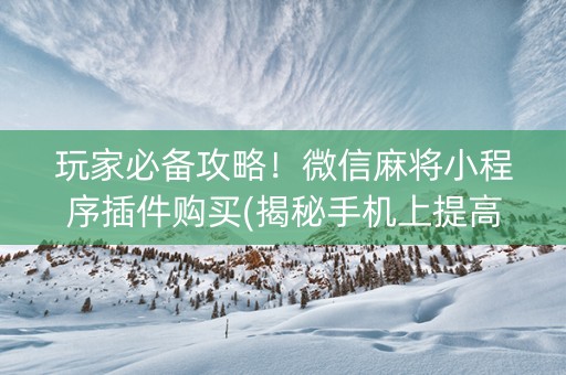 玩家必备攻略！微信麻将小程序插件购买(揭秘手机上提高胜率)