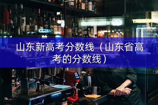 山东新高考分数线（山东省高考的分数线）