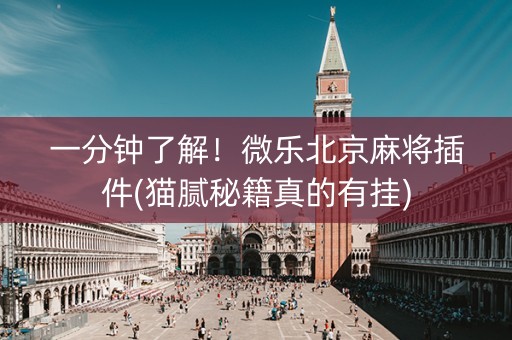 一分钟了解！微乐北京麻将插件(猫腻秘籍真的有挂)