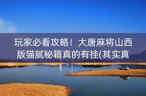 玩家必看攻略！大唐麻将山西版猫腻秘籍真的有挂(其实真的确实有挂)
