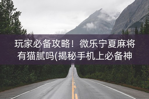 玩家必备攻略！微乐宁夏麻将有猫腻吗(揭秘手机上必备神器)