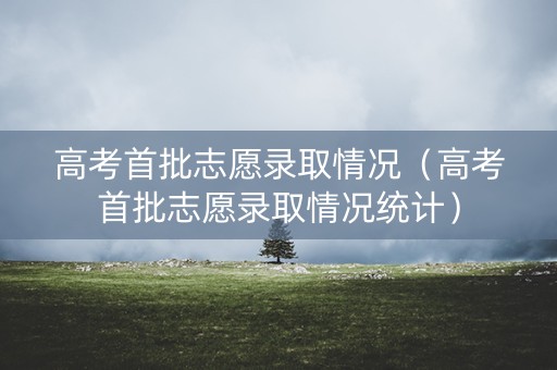 高考首批志愿录取情况（高考首批志愿录取情况统计）