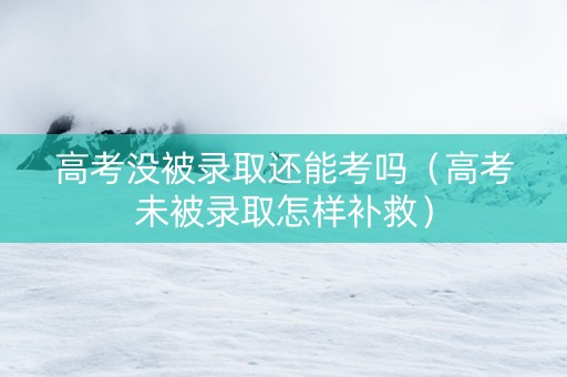 高考没被录取还能考吗（高考未被录取怎样补救）