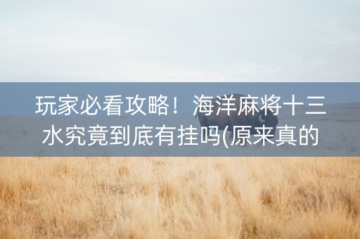 玩家必看攻略！海洋麻将十三水究竟到底有挂吗(原来真的有挂)