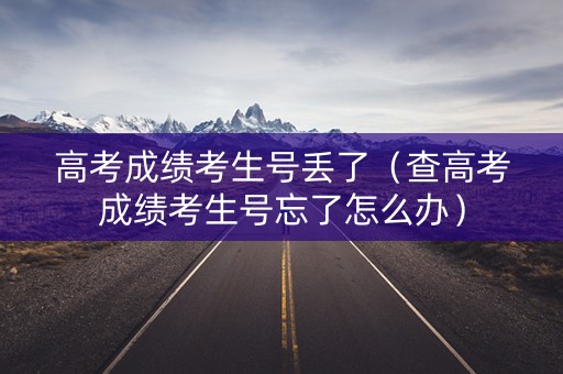 高考成绩考生号丢了（查高考成绩考生号忘了怎么办）