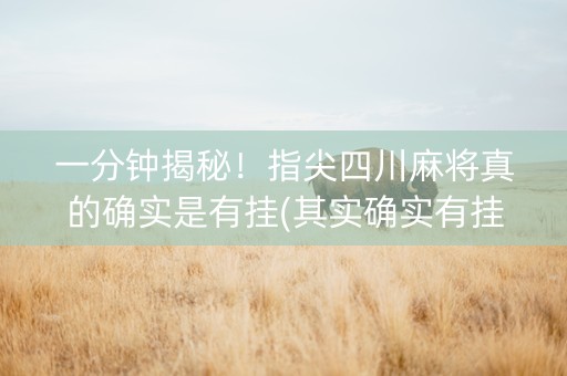 一分钟揭秘！指尖四川麻将真的确实是有挂(其实确实有挂)