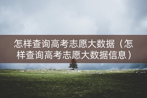 怎样查询高考志愿大数据（怎样查询高考志愿大数据信息）