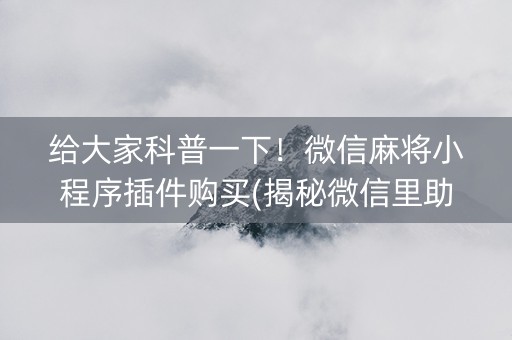 给大家科普一下！微信麻将小程序插件购买(揭秘微信里助攻神器)