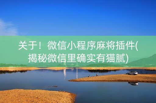关于！微信小程序麻将插件(揭秘微信里确实有猫腻)