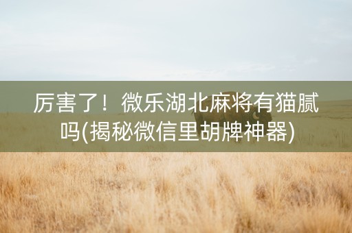 厉害了！微乐湖北麻将有猫腻吗(揭秘微信里胡牌神器)