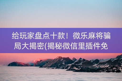 给玩家盘点十款！微乐麻将骗局大揭密(揭秘微信里插件免费)