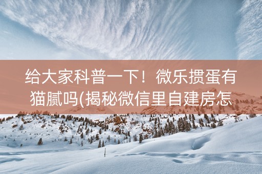 给大家科普一下！微乐掼蛋有猫腻吗(揭秘微信里自建房怎么赢)