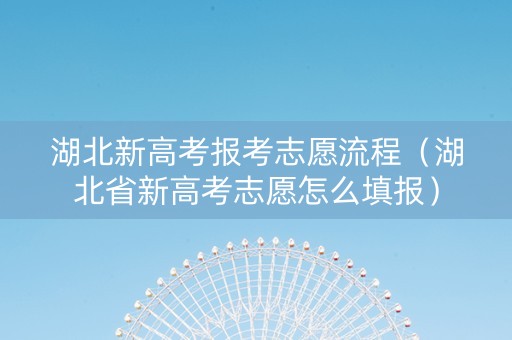 湖北新高考报考志愿流程（湖北省新高考志愿怎么填报）