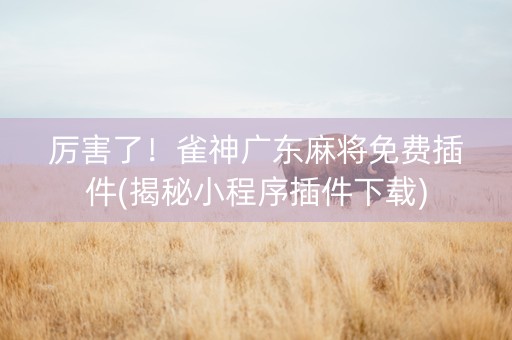 厉害了！雀神广东麻将免费插件(揭秘小程序插件下载)