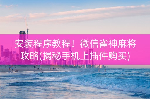安装程序教程！微信雀神麻将攻略(揭秘手机上插件购买)