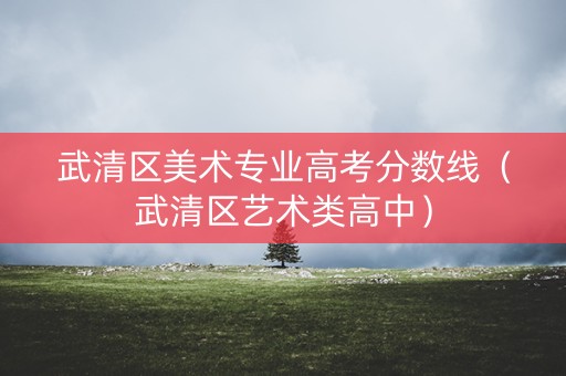 武清区美术专业高考分数线（武清区艺术类高中）