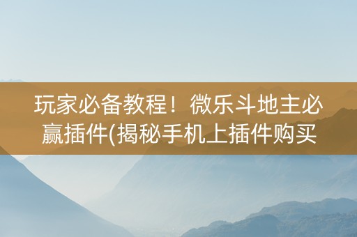 玩家必备教程！微乐斗地主必赢插件(揭秘手机上插件购买)