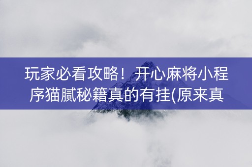 玩家必看攻略！开心麻将小程序猫腻秘籍真的有挂(原来真的有挂)