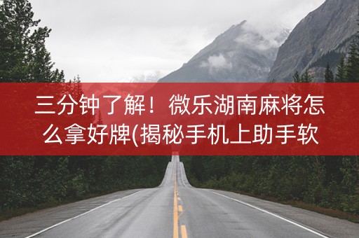 三分钟了解！微乐湖南麻将怎么拿好牌(揭秘手机上助手软件)