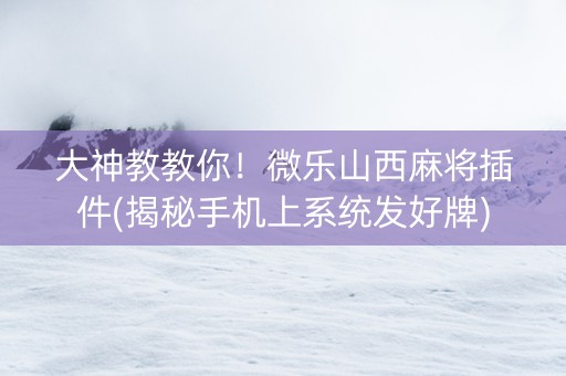 大神教教你！微乐山西麻将插件(揭秘手机上系统发好牌)