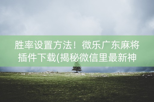 胜率设置方法！微乐广东麻将插件下载(揭秘微信里最新神器下载)